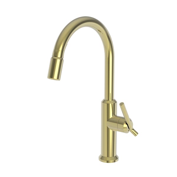 Newport Brass Pull-Down Kitchen Faucet in Polished Brass Uncoated (Living) 3200-5113-03N - main